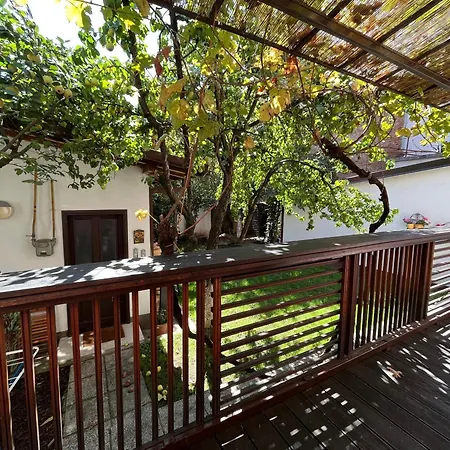Vila Sport, Garden With Terace And Parking Apartman